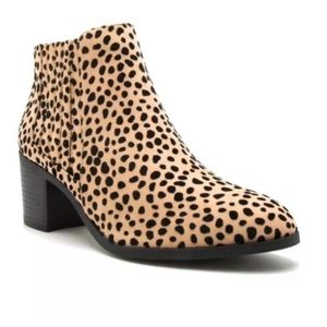 Size 8 Topanga Qupid Leopard Booties